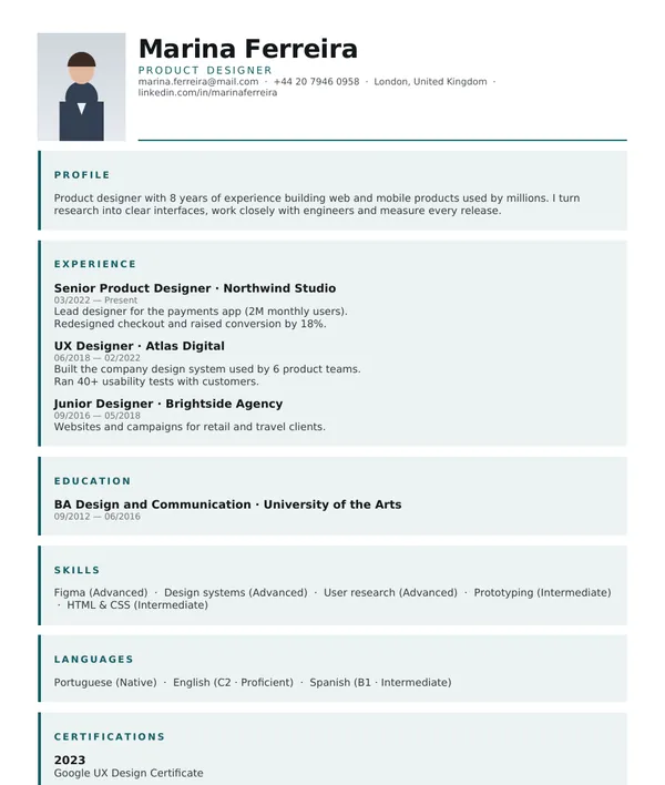 Blocks resume template — PDF example